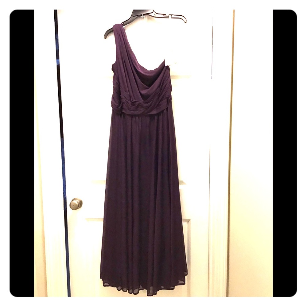 NWT, long, plum, mesh dress, one shoulder, size 16